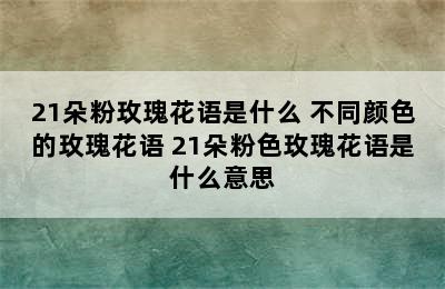 21朵粉玫瑰花语是什么 不同颜色的玫瑰花语 21朵粉色玫瑰花语是什么意思